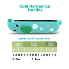 Besiciwiin harmonica musical toy — friendly learning tool for curious children.