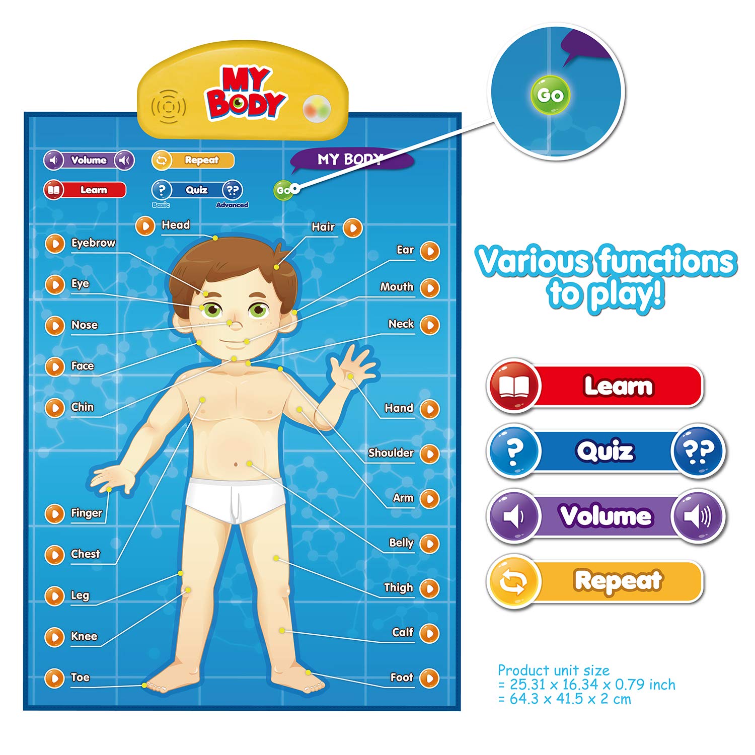 BEST LEARNING i-Poster My Body brain insights explain brain roles via interactive sounds and visuals.