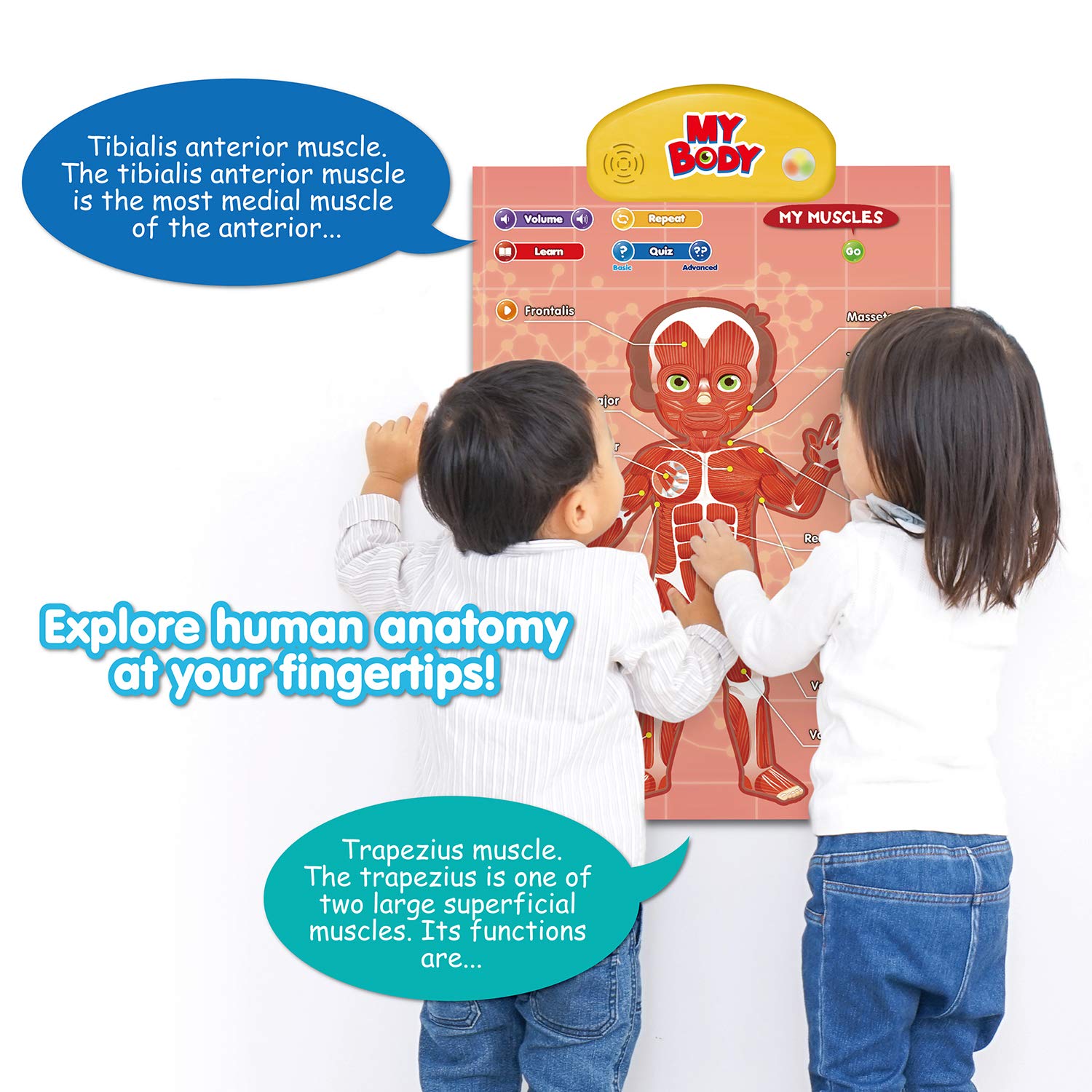 BEST LEARNING i-Poster My Body lungs function shown with guided sound cues and visuals.