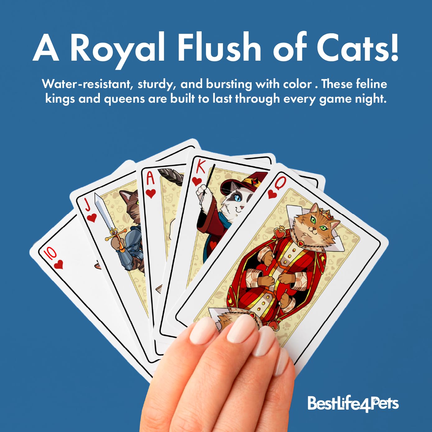 BestLife4Pets Hand-drawn artwork cards display bright, vivid colors.