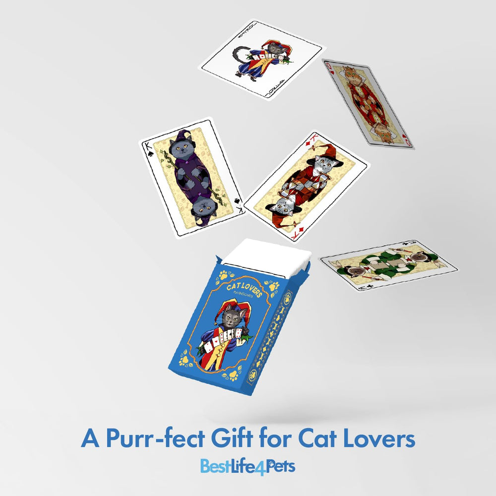 BestLife4Pets Travel-size cards are easy to carry.