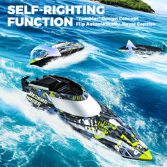 BEZGAR TX123 side view RC boat for agile turns and control