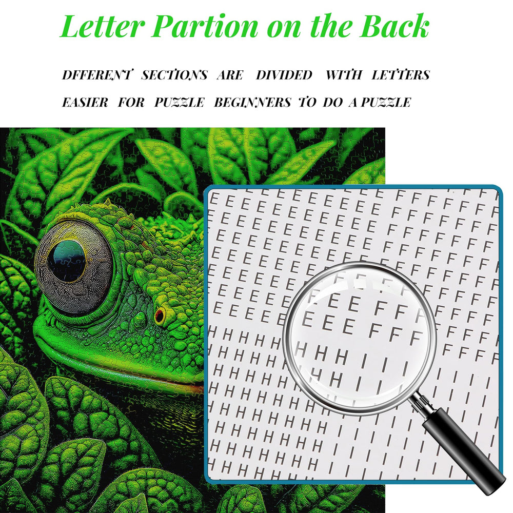 bgraamiens frog camouflage puzzle includes poster and stylish packaging