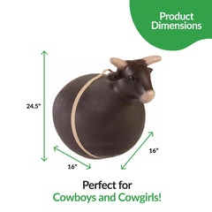 Big Country Toys Bouncy Bull rope and assembly for easy setup and secure play.