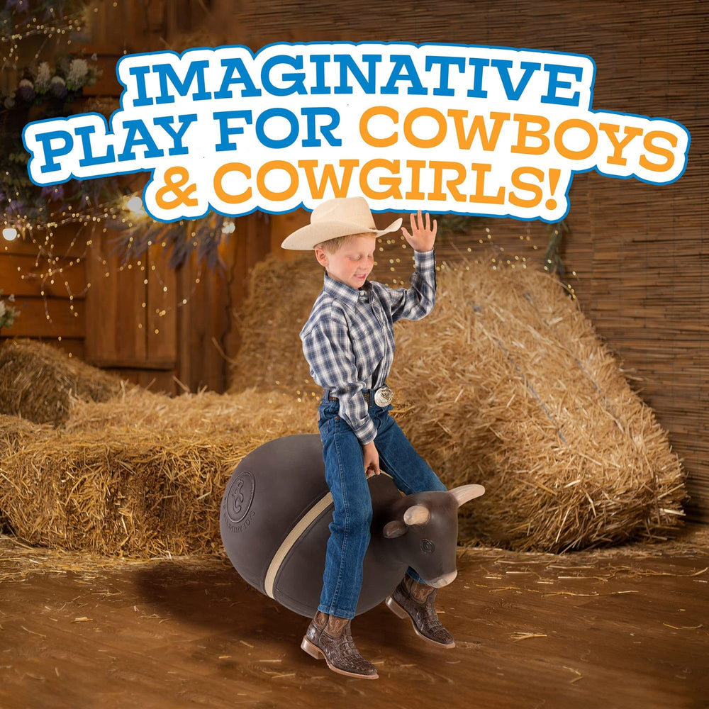 Big Country Toys assembled setup shows stability and safe indoor use.