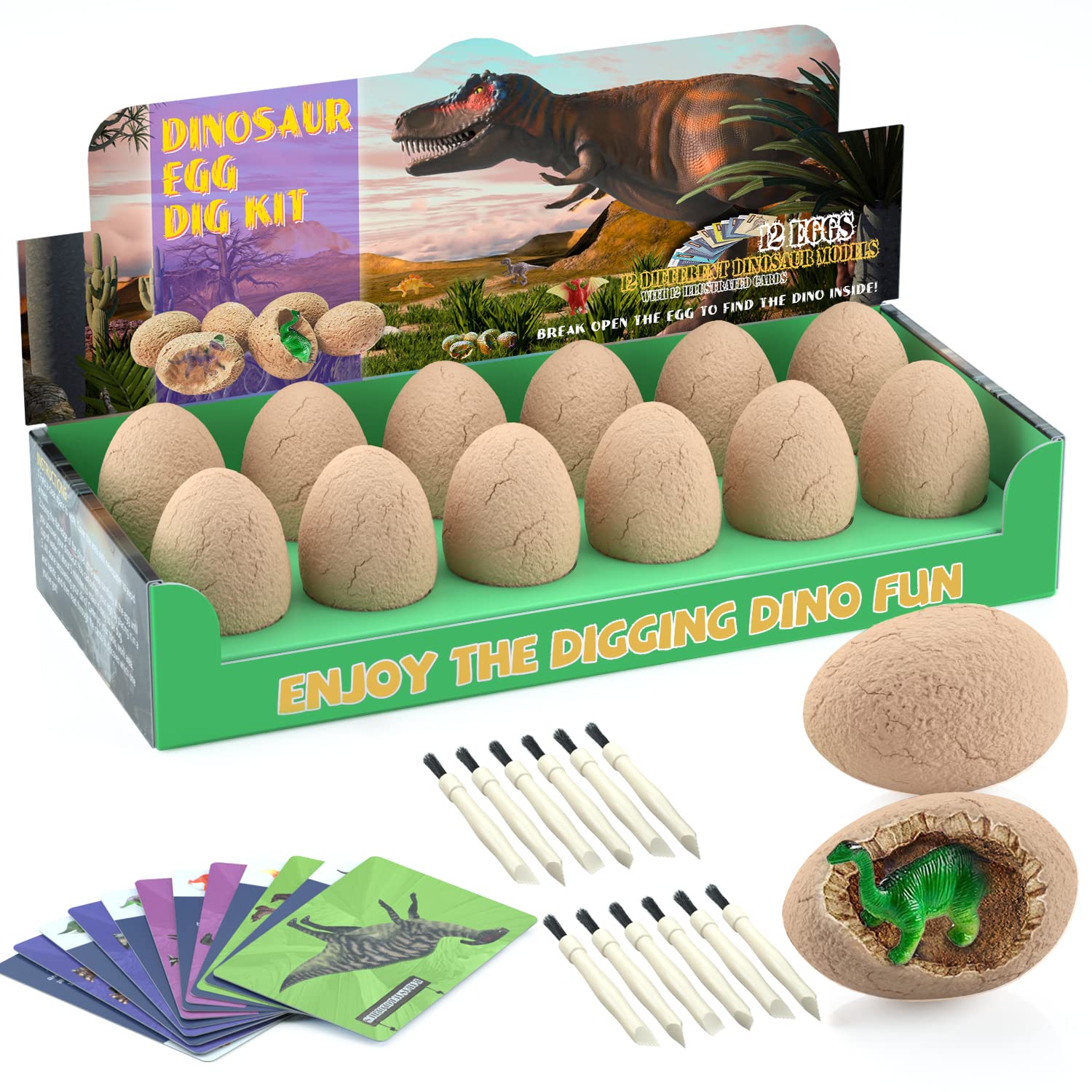 Bigear Dinosaur Eggs Excavation Kit showing 12 eggs for STEM exploration.