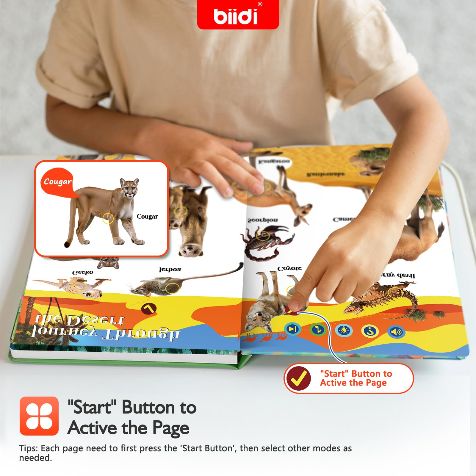 Biidi sound book dinosaur page features vivid sounds that spark imaginative play.