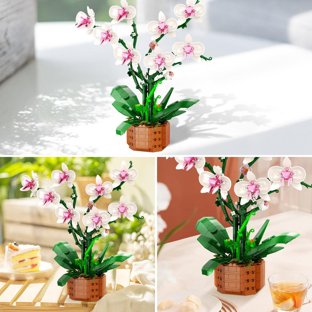 Bilinott Orchid bonsai assembly shows detailed stems and leaves for a centerpiece.