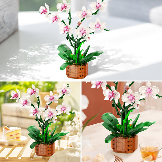 Bilinott Orchid bonsai assembly shows detailed stems and leaves for a centerpiece.
