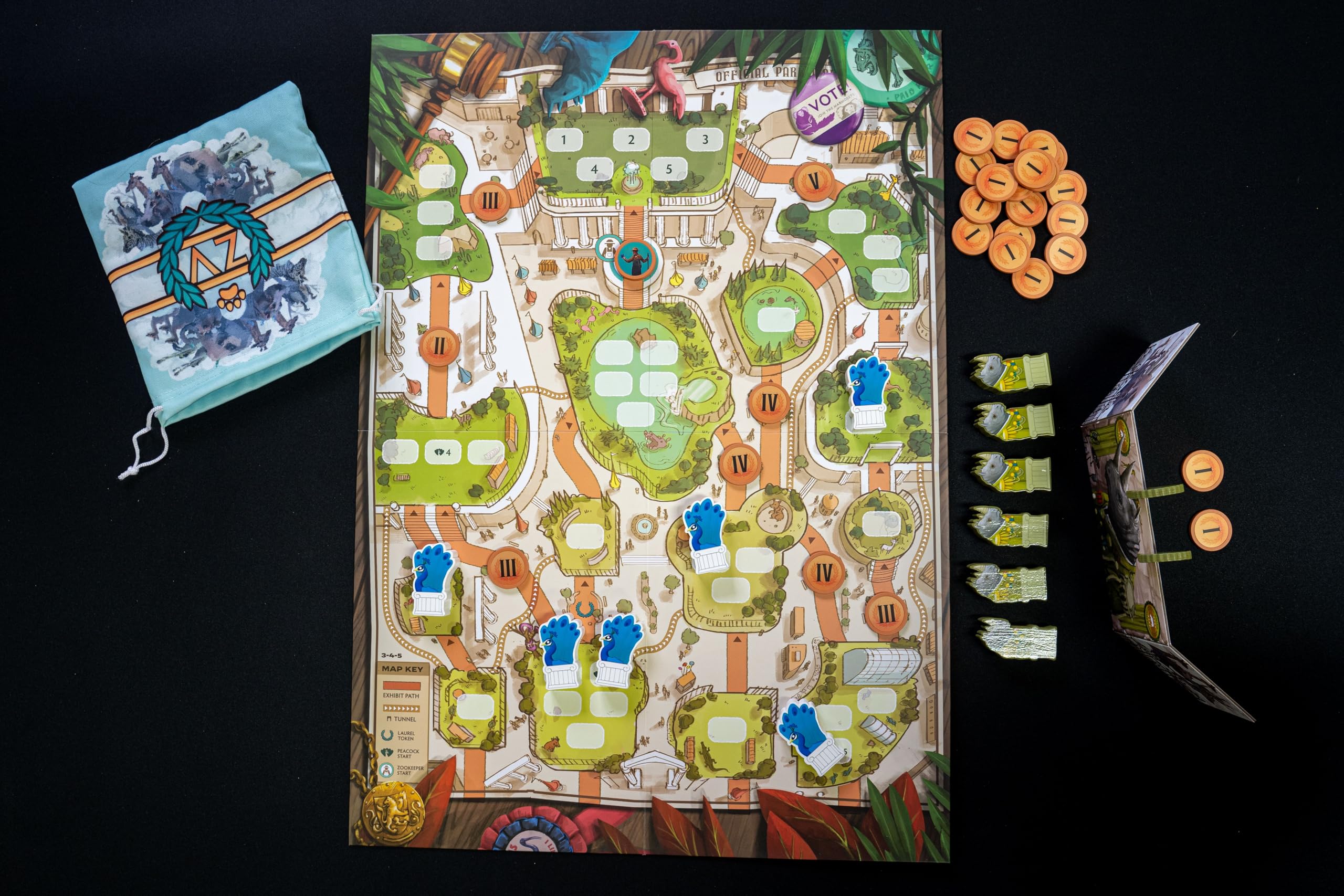 Bitewing Zoo Vadis game board map showing interactive paths for strategic moves.
