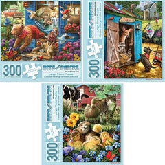 Bits and Pieces value set box front with three adult puzzles for family nights.