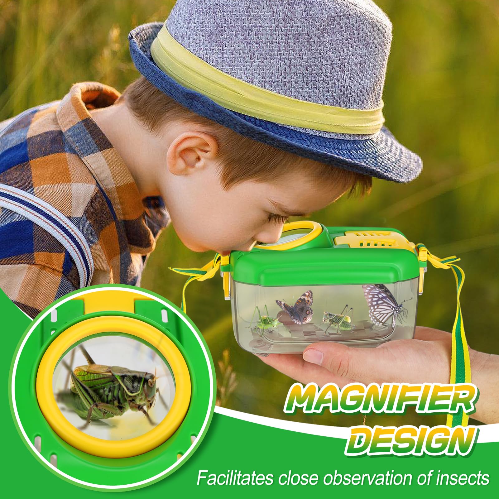 Biubee insect box with magnifying glass enables detailed animal viewing.