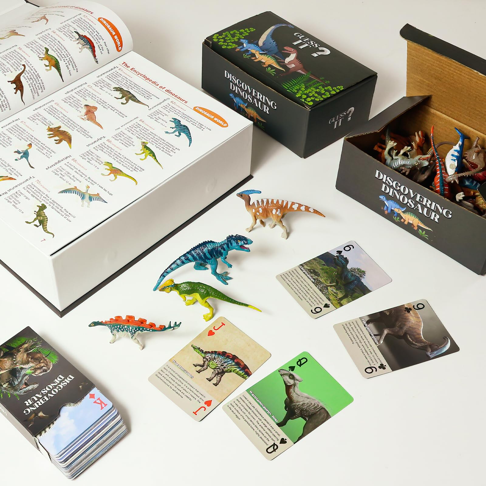 BIWASE dinosaur book back cover inviting visuals for exploration