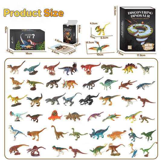 BIWASE dinosaur book and storage box shown for organized learning