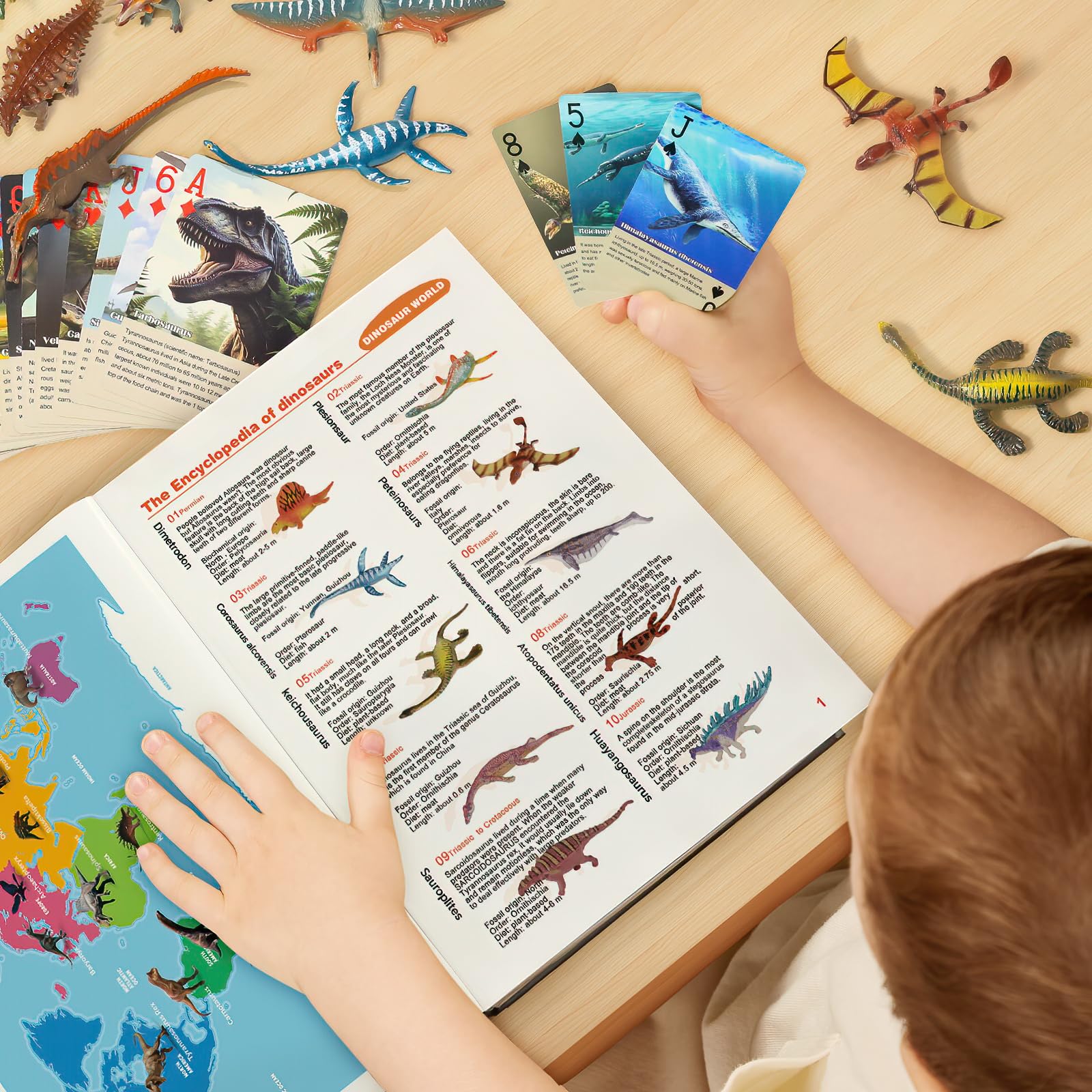 BIWASE kid friendly play area with dinosaurs for imaginative play