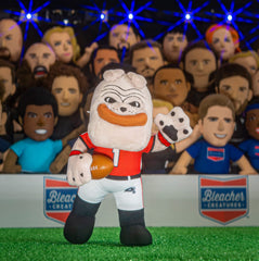 Bleacher Creatures Hairy Dawg 10-inch plush display on shelf boosts team spirit.