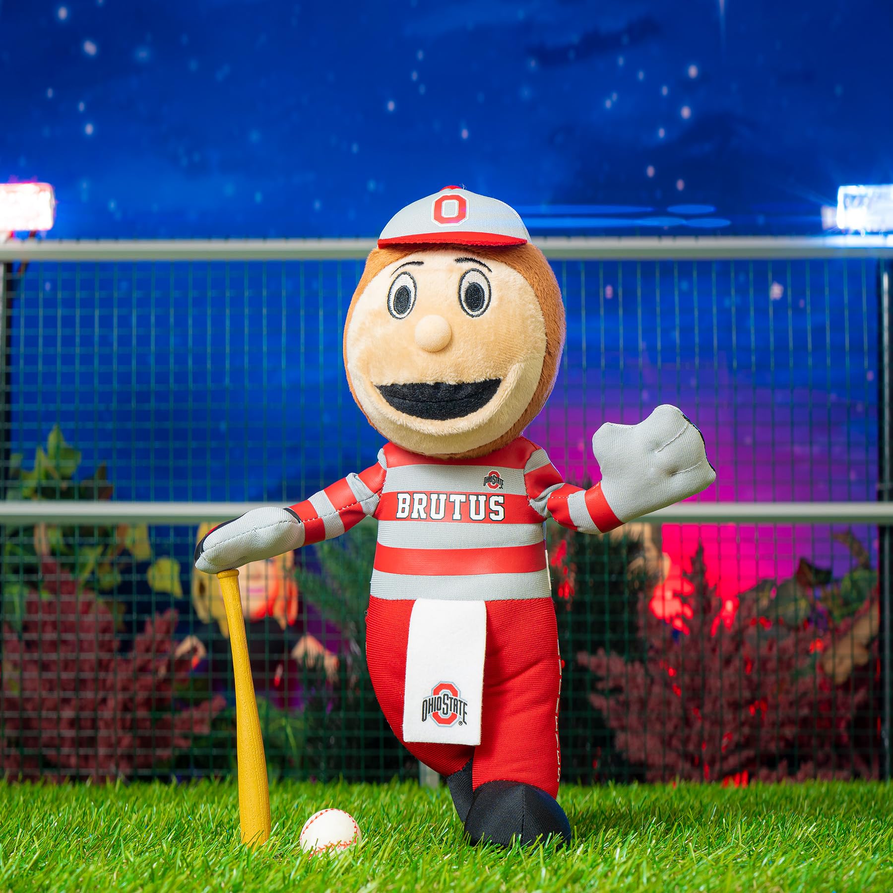Great gift for Buckeyes fans and dorm room décor