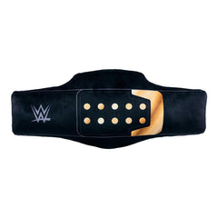 Bleacher Creatures WWE championship buddy sits proudly on a shelf or bed.