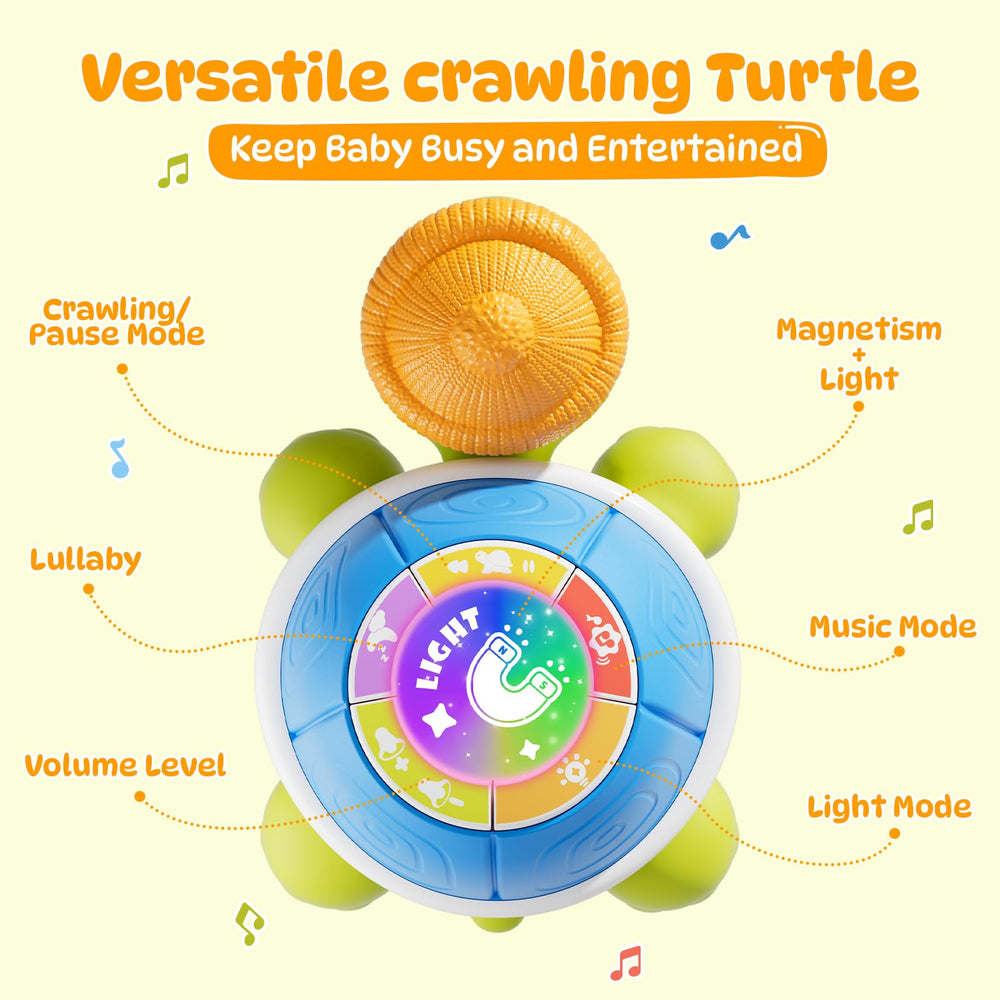 BLF FUN turtle toy with chasing action fosters interactive play and social interaction