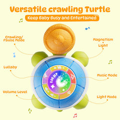 BLF FUN turtle toy with chasing action fosters interactive play and social interaction