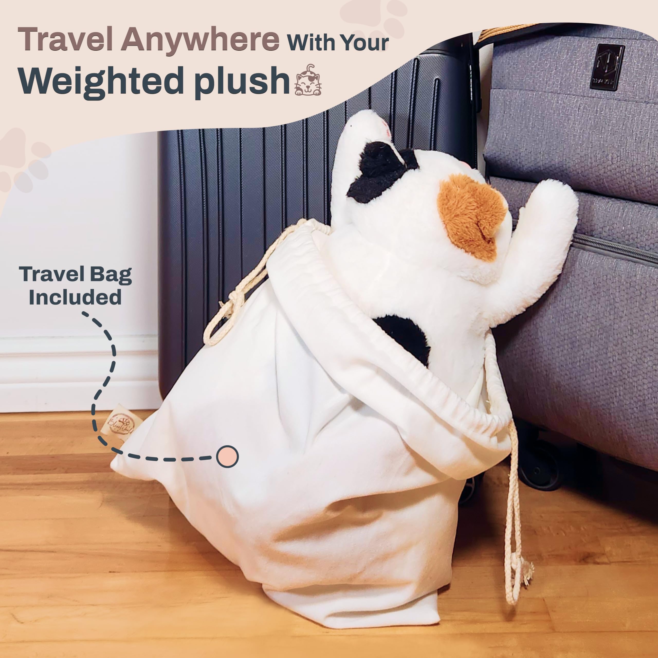 Bliss World calico cat classroom companion for sensory-friendly learning.