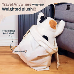 Bliss World calico cat classroom companion for sensory-friendly learning.