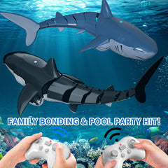 BLmukce supports multi-user play for family pool races.
