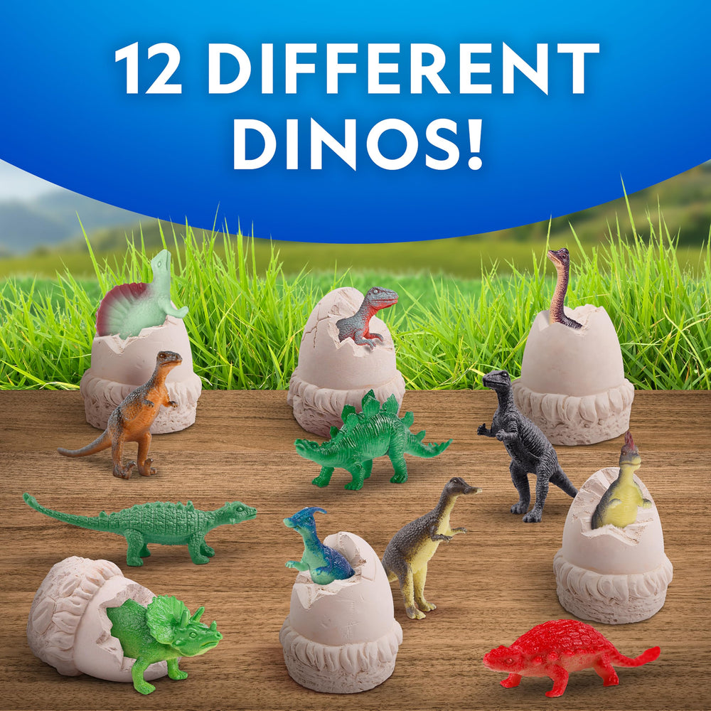 Blue Marble Dinosaur Dig Kit: twelve eggs ready for group exploration