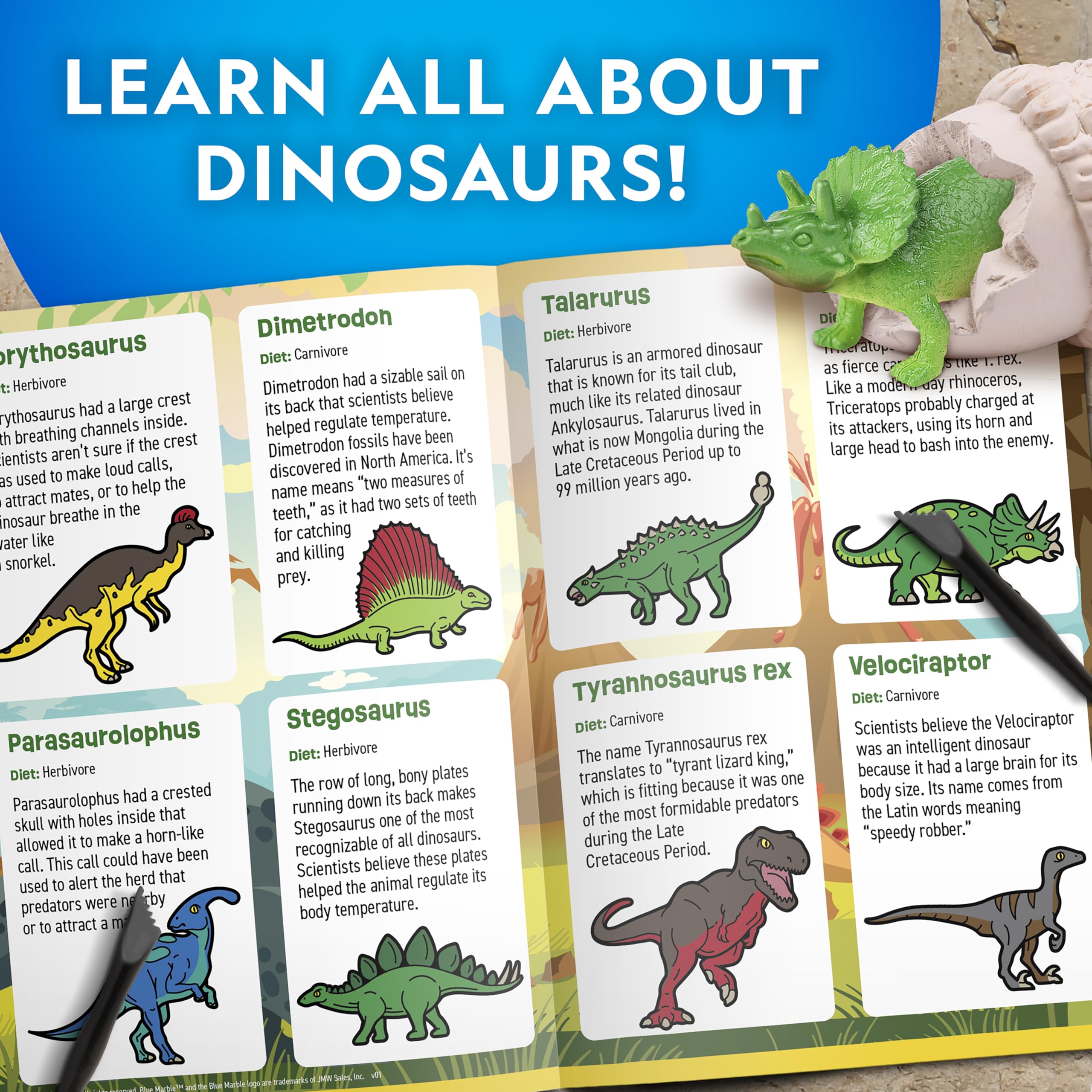 Blue Marble Dinosaur Dig Kit: six dinosaur species revealed through digging
