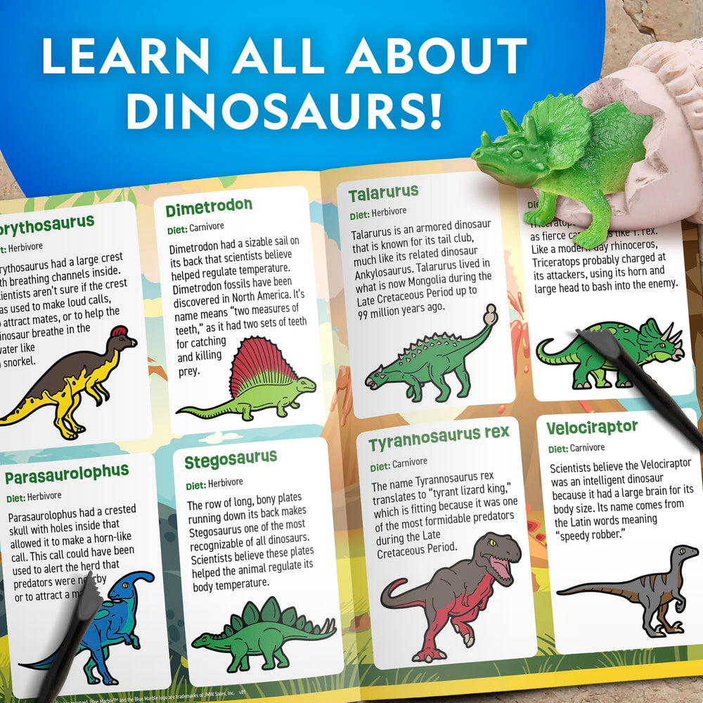 Blue Marble Dinosaur Dig Kit: six dinosaur species revealed through digging
