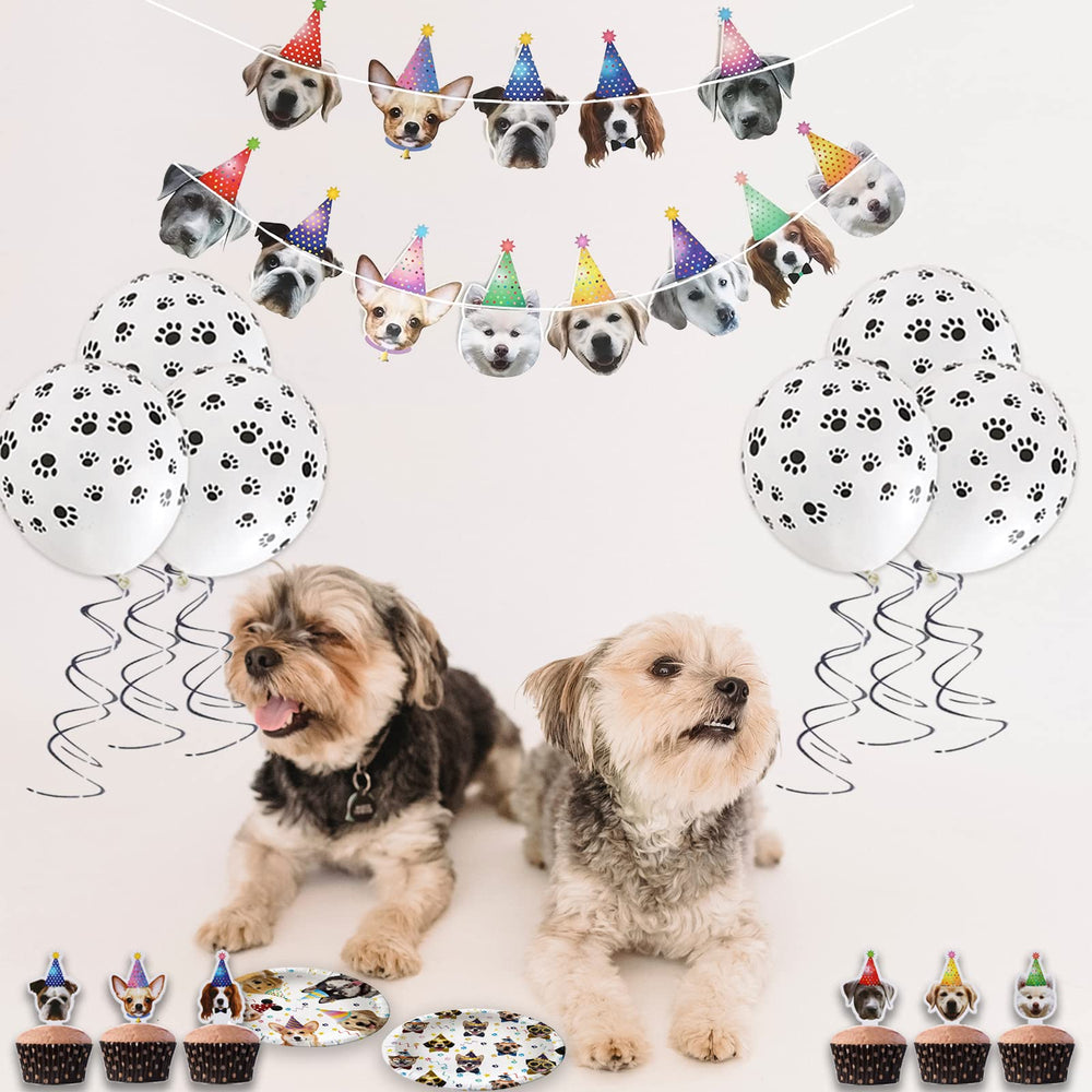 Bluegogo paws balloons bring whimsy and celebration to the party