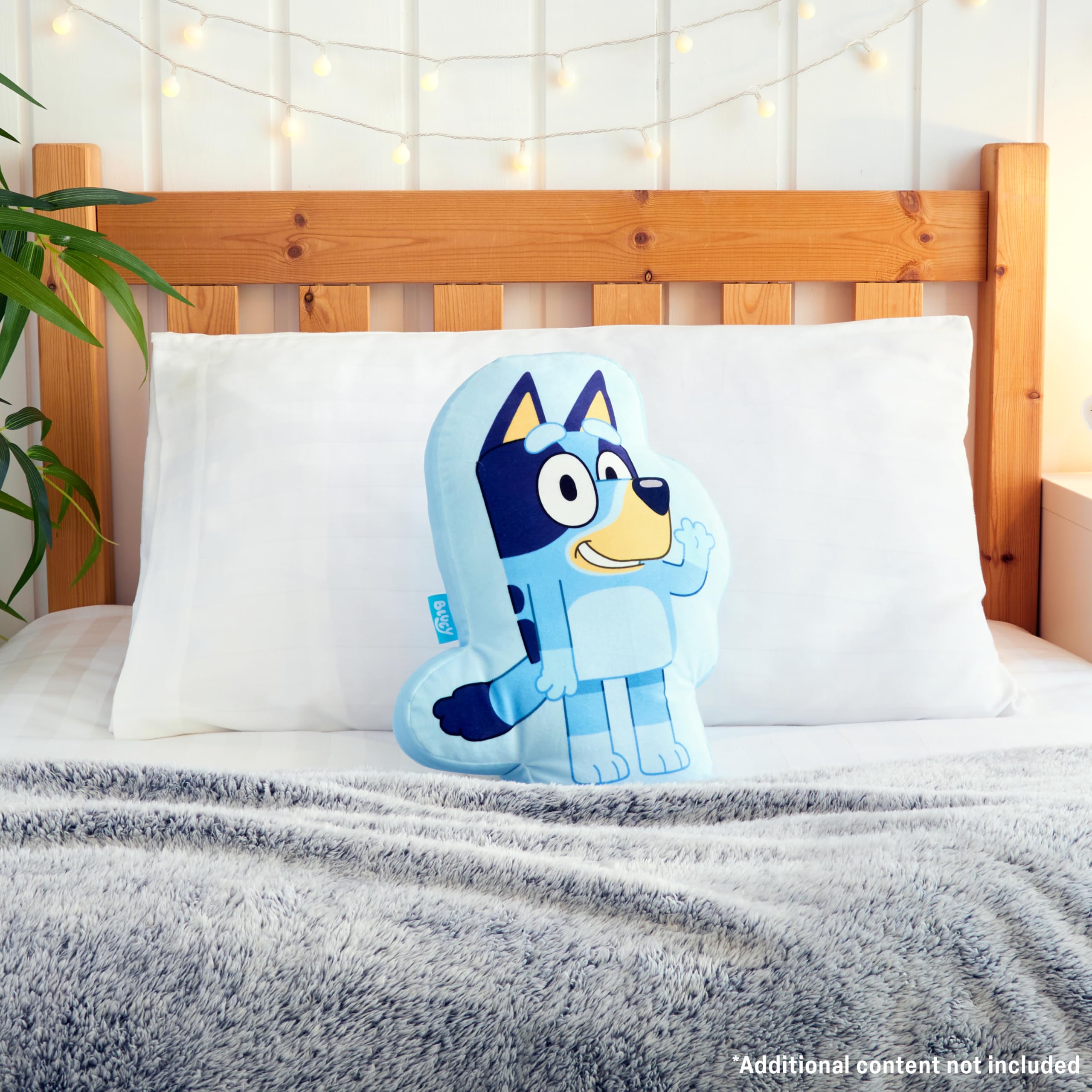 Bluey 3D plush pillow gift idea for kids' birthdays.