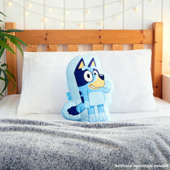 Bluey 3D plush pillow gift idea for kids' birthdays.