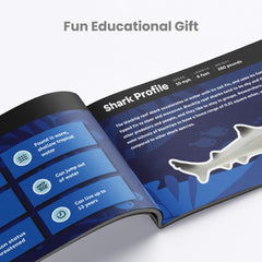 Boley shark toy bath play set supports sensory water adventures.