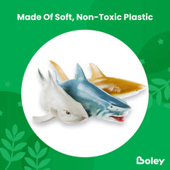 Boley shark explorer guide included for fun shark facts and discovery.