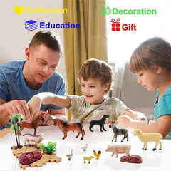BOLZRA kid-friendly farm playset fosters creative, screen-free learning opportunities.