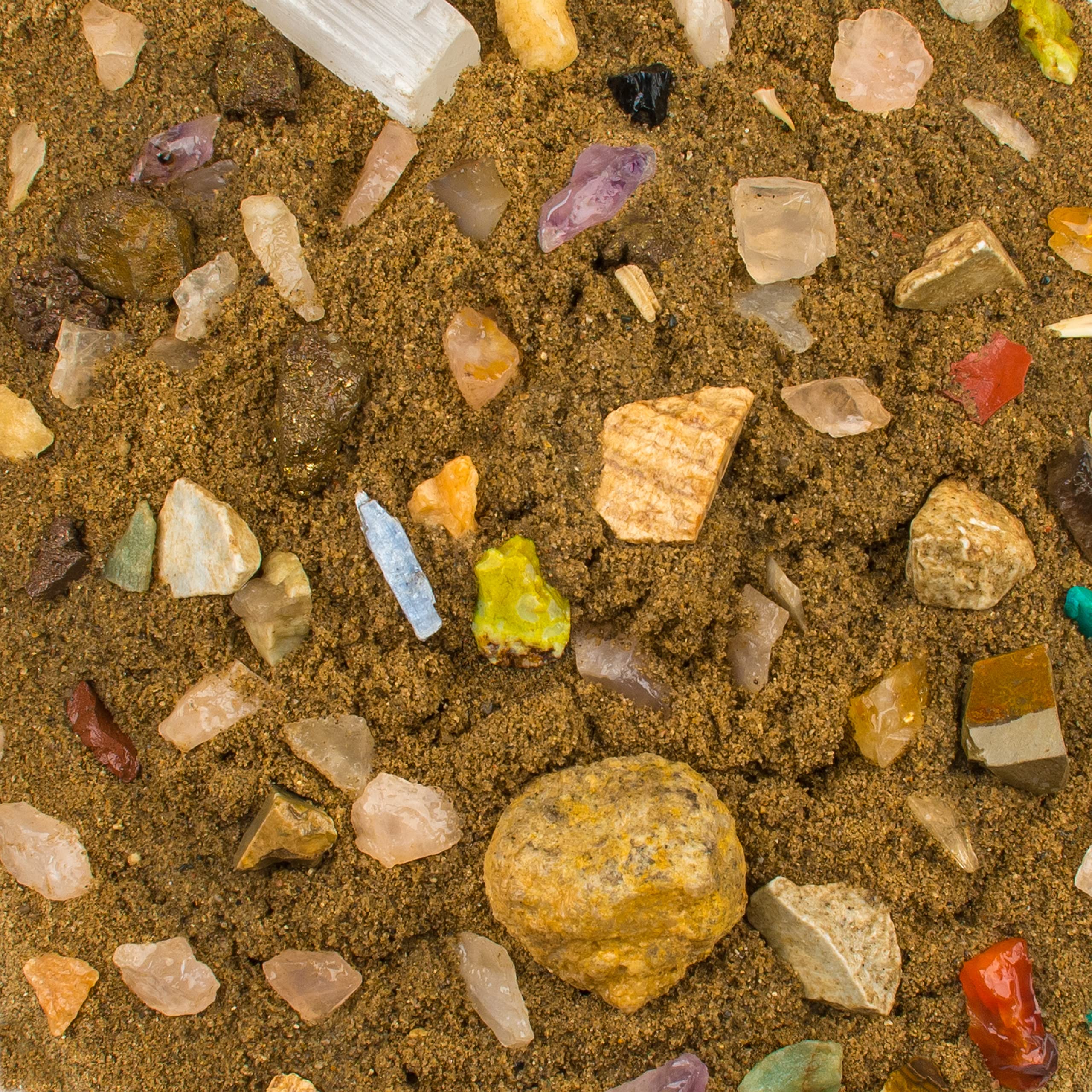 Boone's Mill paydirt in a sifting tray during a dig activity.