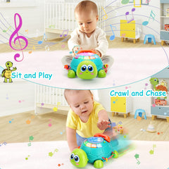 BQU Musical Turtle light-up display captivates baby during play.