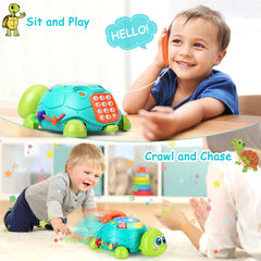 BQU turtle toy drum action with lights invites responsive play and rhythm
