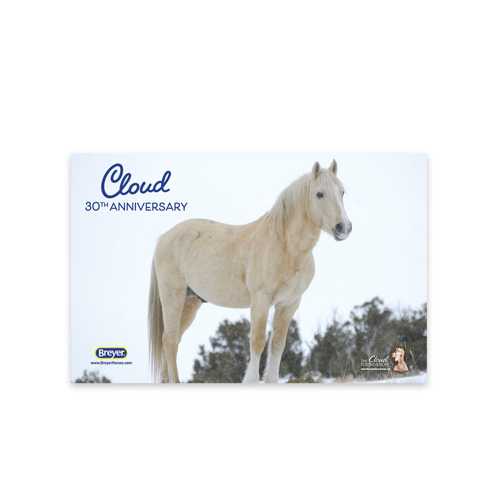 Breyer Cloud 30th Anniversary Edition display-ready presentation for collectors.