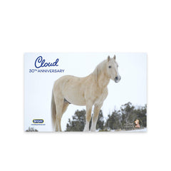Breyer Cloud 30th Anniversary Edition display-ready presentation for collectors.