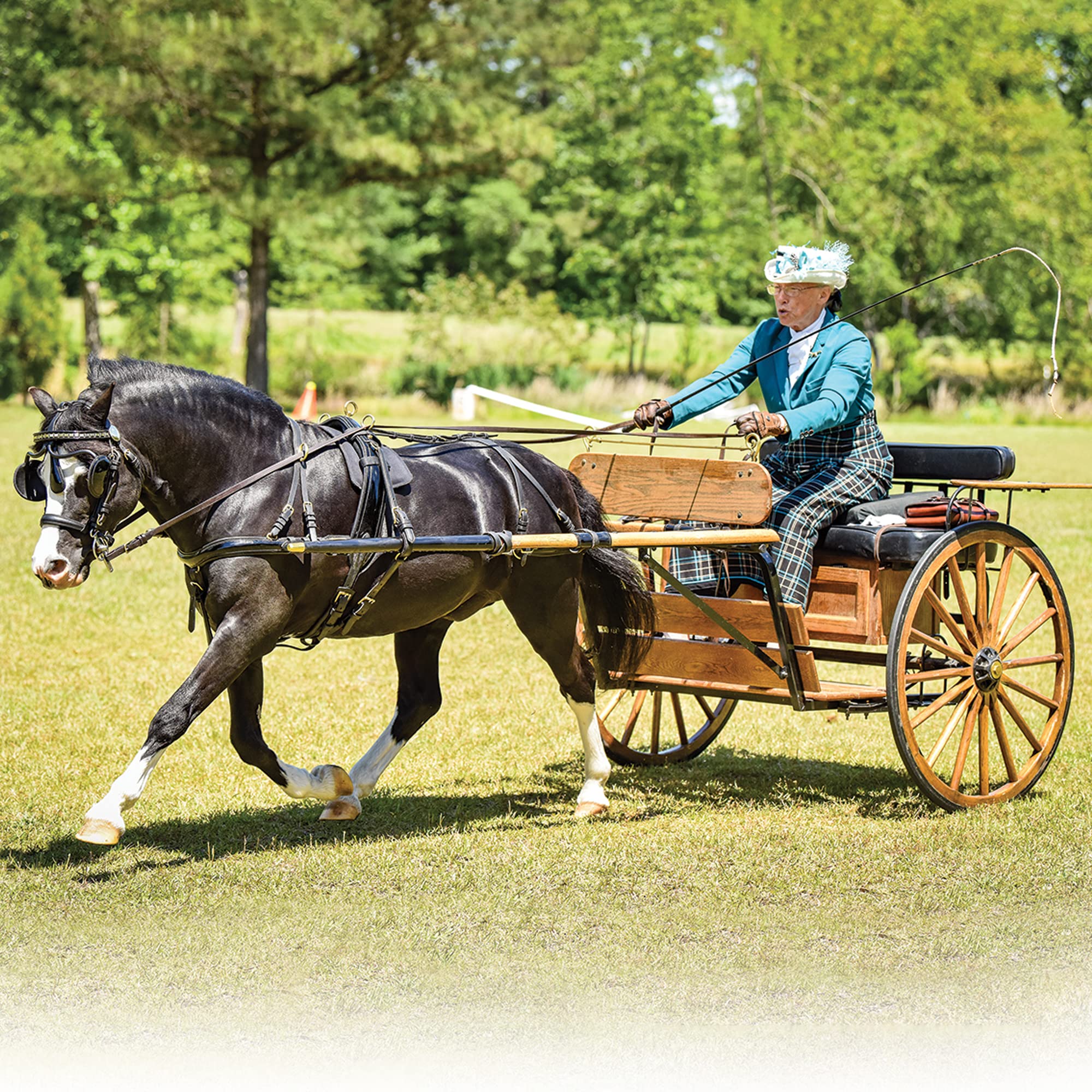 Breyer Traditional Blazing Ethel GTF, Welsh mare, ideal for driving pony enthusiasts and display