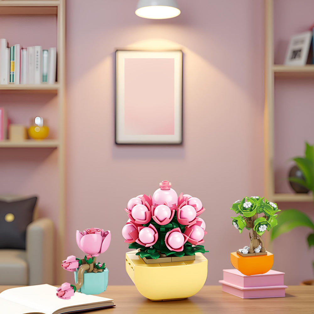 BRICHBROW colorfully themed succulent blocks for home or classroom decor.