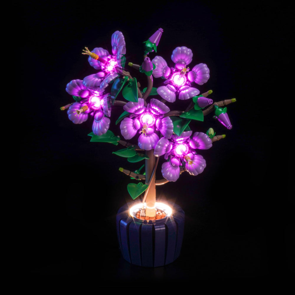 Brickshining Hibiscus LED lighting assembly video thumbnail for quick setup