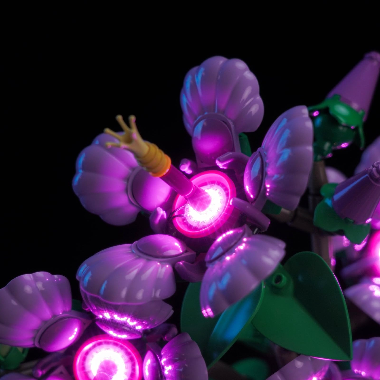 Brickshining Hibiscus LED lighting back view with soft, even illumination