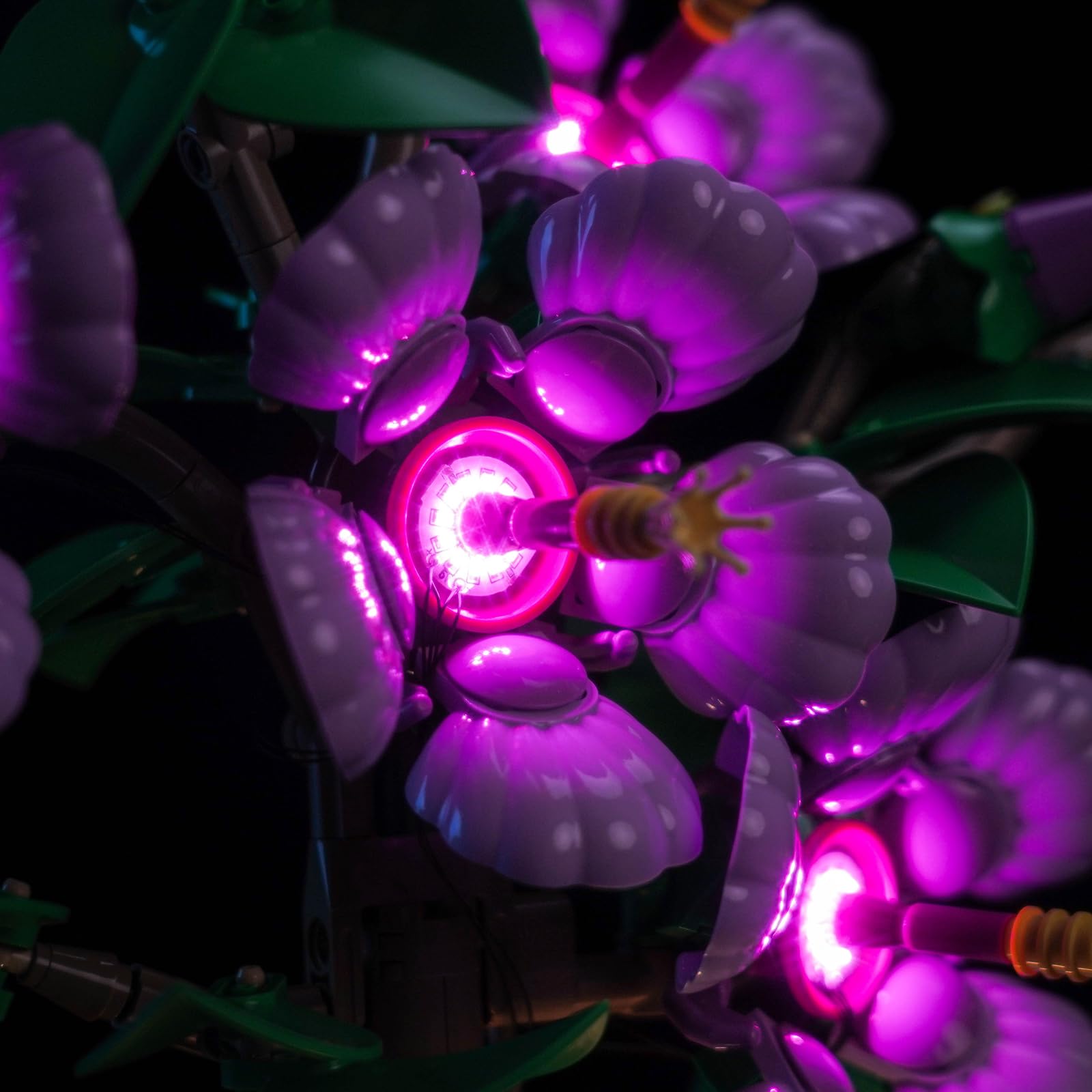 Brickshining Hibiscus LED lighting detailed pieces view showing tidy wiring