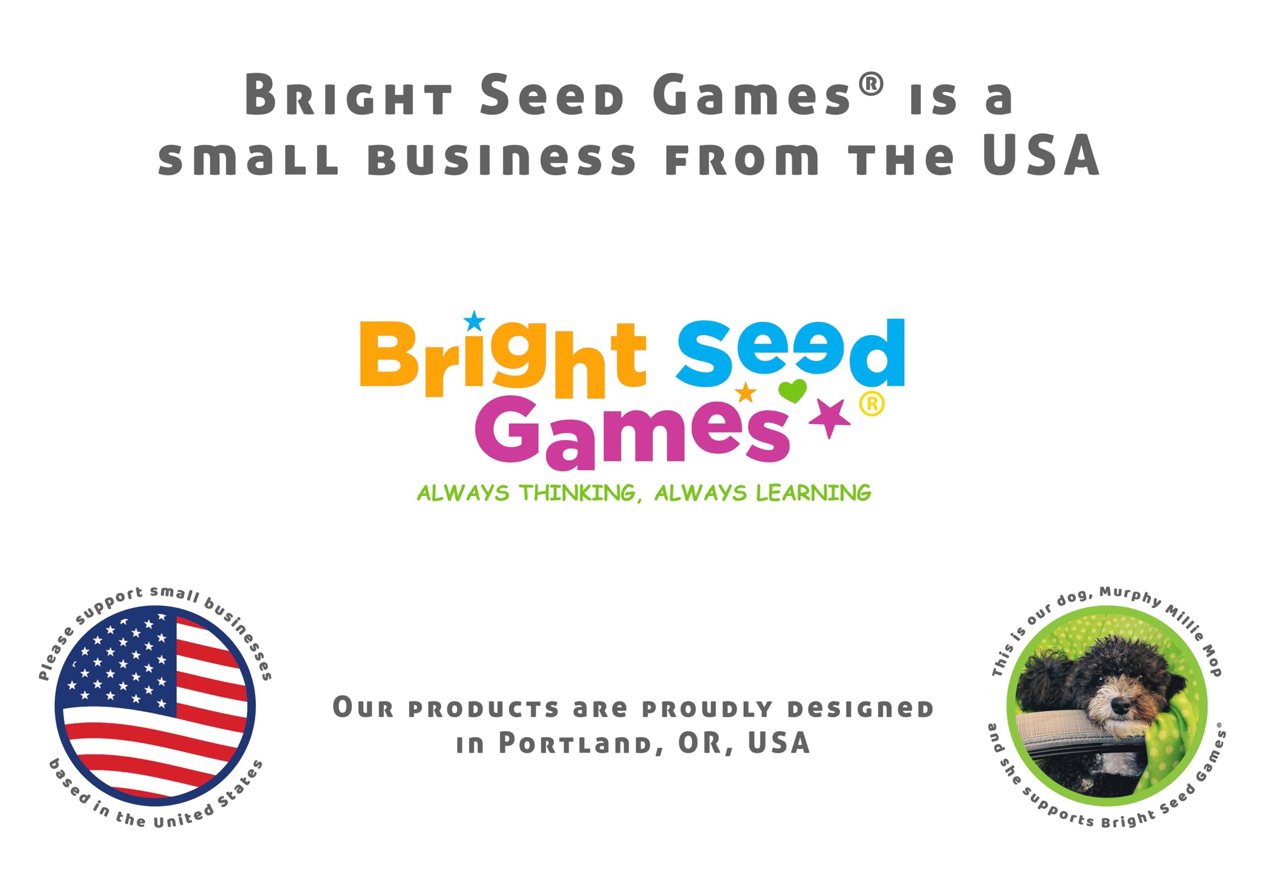 Bright Seed Games kindergarten reading game set for ages 4-8