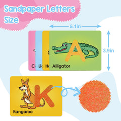 Broytain sandpaper letters card D with animal illustration invites tracing and memory reinforcement.