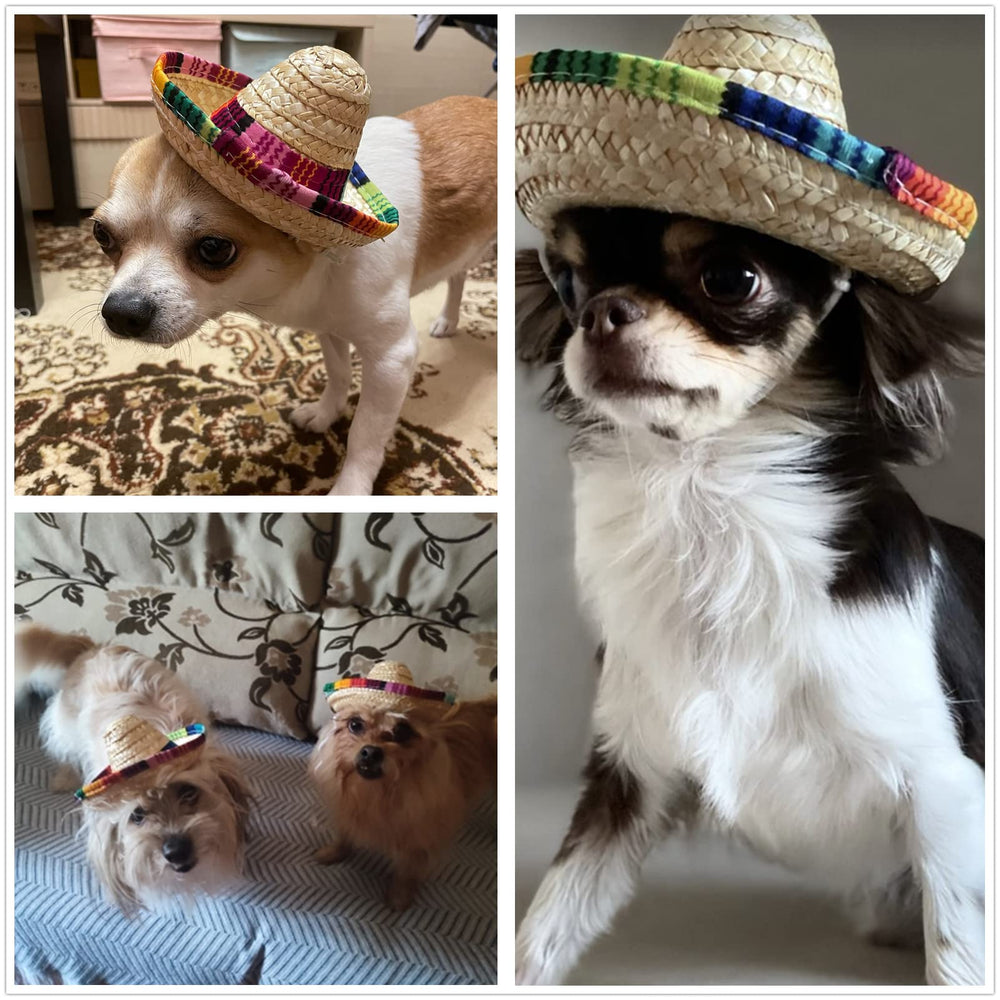BTYMS mini sombrero hats on dolls for playful display and photo props