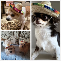 BTYMS mini sombrero hats on dolls for playful display and photo props